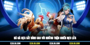 Đá Gà Cựa Sắt Đỉnh Cao Với Những Trận Chiến Rực Lửa