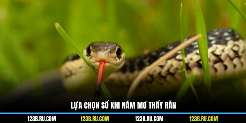 Lựa chọn số khi nằm mơ thấy rắn