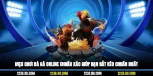 Mẹo Chơi Đá Gà Online Chuẩn Xác Giúp Bạn Bắt Kèo Chuẩn Nhất