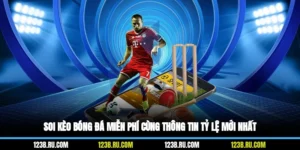 Soi Kèo Bóng Đá Miễn Phí Cùng Thông Tin Tỷ Lệ Mới Nhất